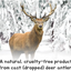 XL Split Antler