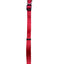 Nylon Collar Red Medium