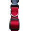 Nylon Collar Red Medium