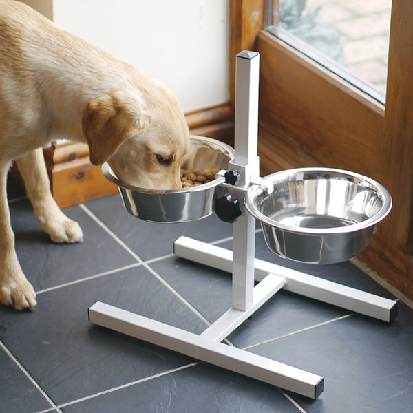 Adj Height Stand + 2 X 9.5" S/S Dish