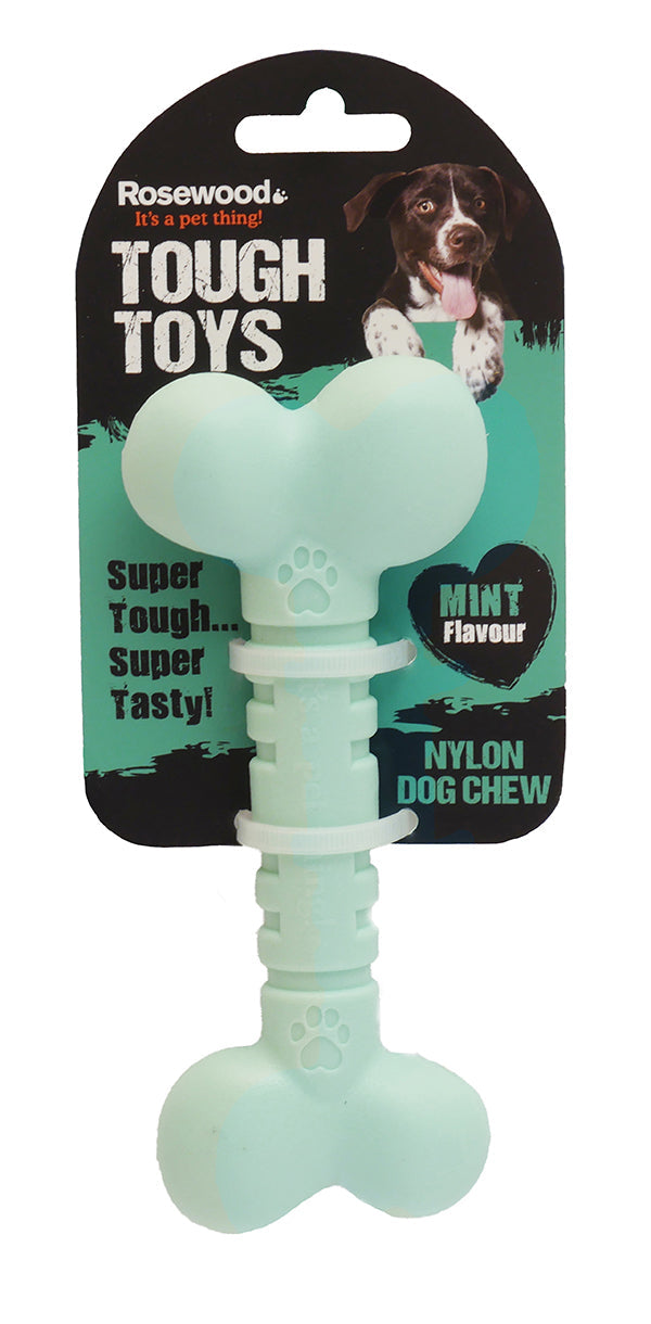 Nylon Lg Bone Mint