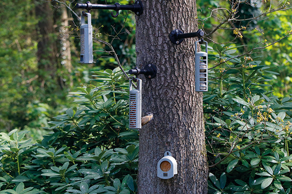 Recycled Feeder Fatball