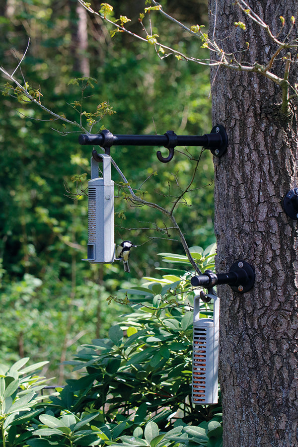 Recycled Feeder Seed