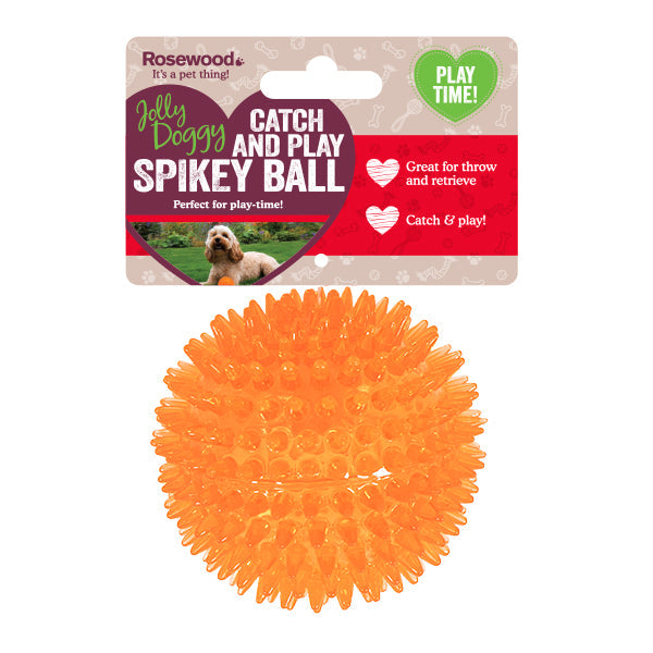 Catch & Play Spikey Ball Asst