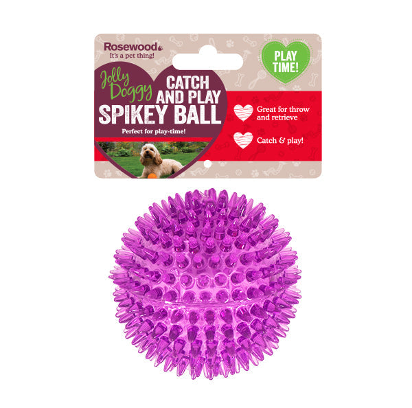 Catch & Play Spikey Ball Asst