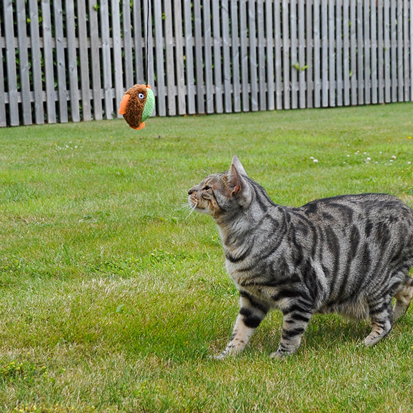 Cat, Little Nipper Flippy Fish