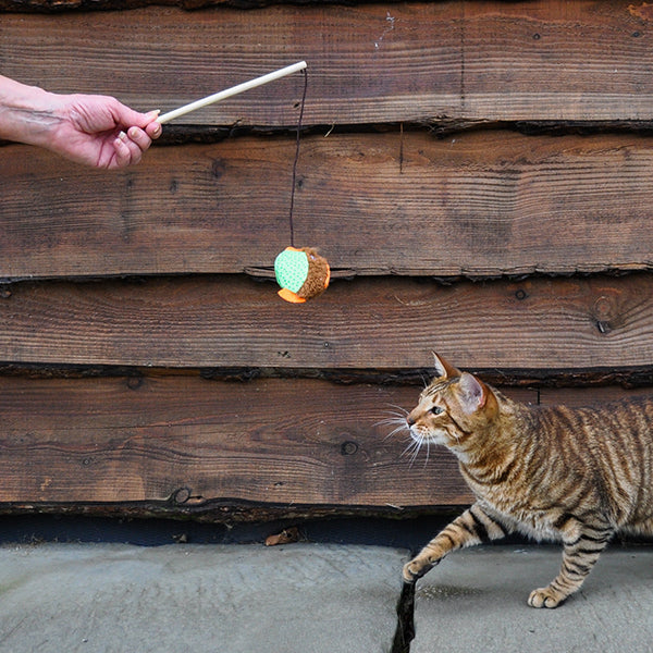 Cat, Little Nipper Flippy Fish