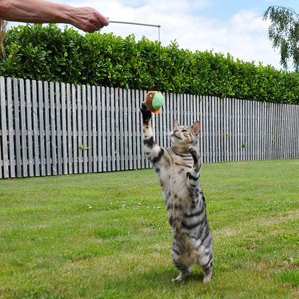 Cat, Little Nipper Flippy Fish