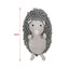 Chub Hetty Hedgehog