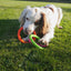 Tough Toys Multi-Colour Rings L
