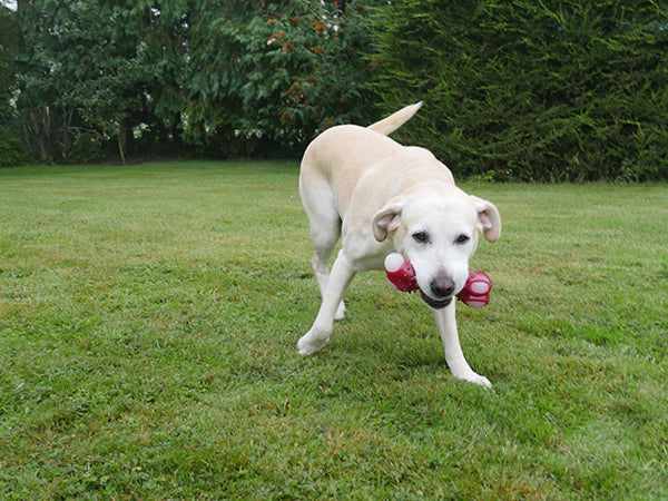 Lg Takeaway Bacon Bone