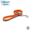 Reflective Orange Bone Lead 3/4"