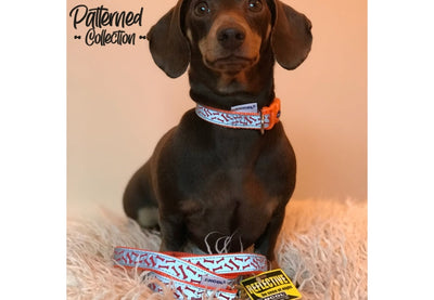 Ancol Reflective Orange Bone Lead 3/4"