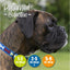 Bone Patterned Navy Reflective Collar Size 5-9