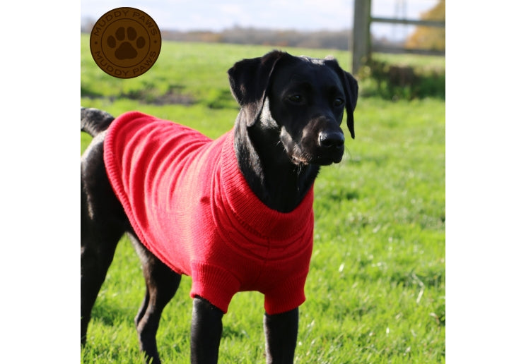 Small Red Cable Knit Jumper