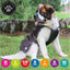 Storm Guard Small Black Coat