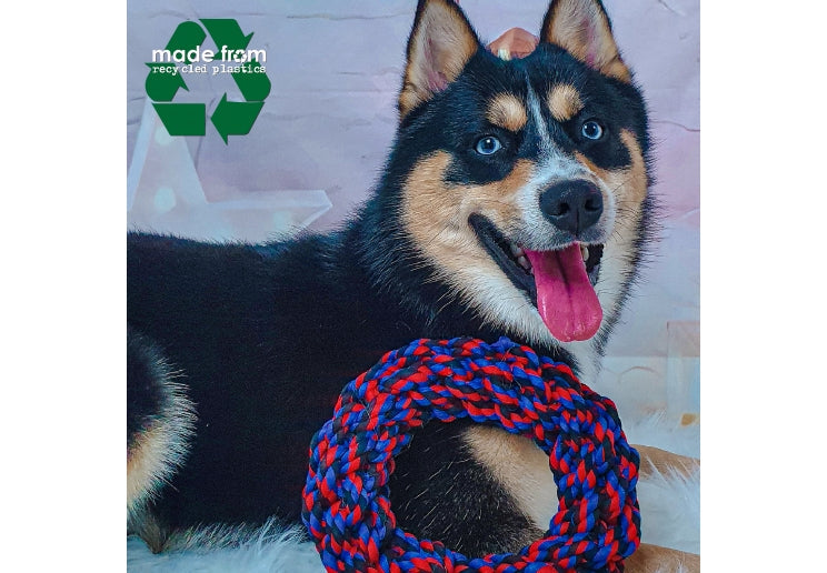 Recycled Chew Ring Small - Disc