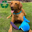 Oshi The Whale Plush Dog Toy - Made From Recycled Materials