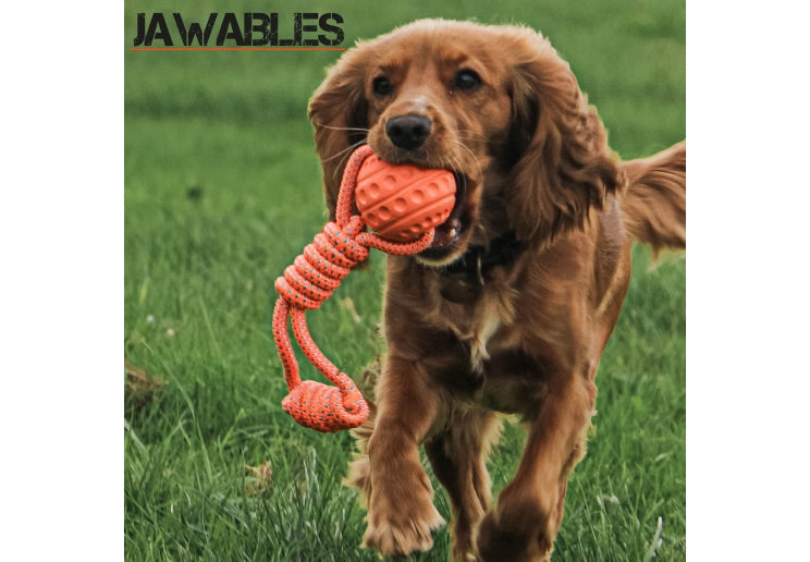 Jawables Ball Tug