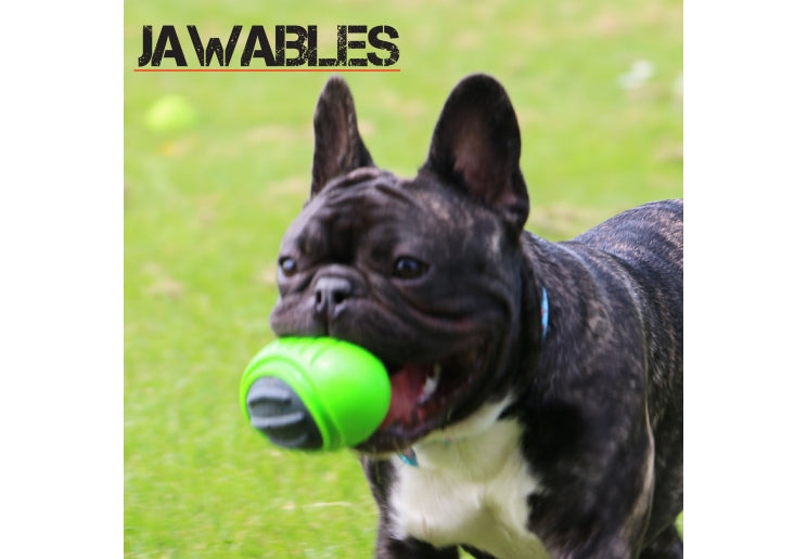 Jawables Tough Rugby Ball