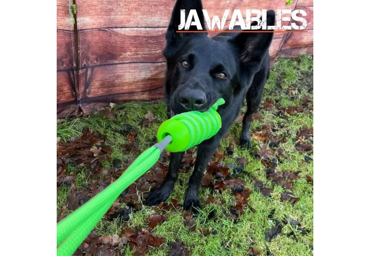 Jawables Rope Toy - disc