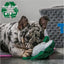 Mini Turtle, Seal or Seahorse Dog Toy - Made From Recycled Materials